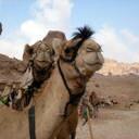 Marie Wicks - @mewicks23 - Twitter