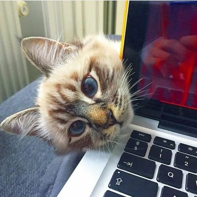 ManarAh46350350's profile picture. to be or not  to  be☺