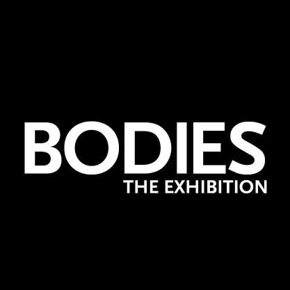 The exhibit features real human bodies & specimens & takes visitors through galleries providing an up-close look inside the complex systems of the human body.