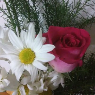 iraida_coronel's profile picture. 