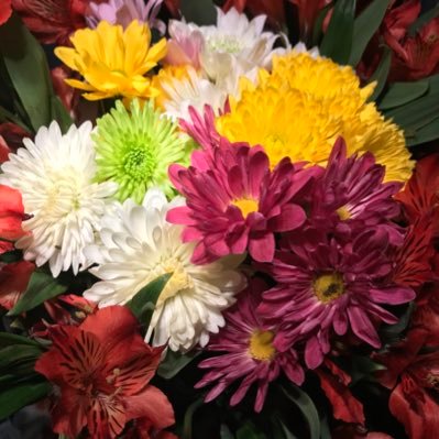 Amanda Corbin-Staton Profile