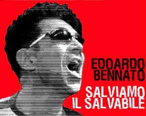 rotocal's profile picture. 