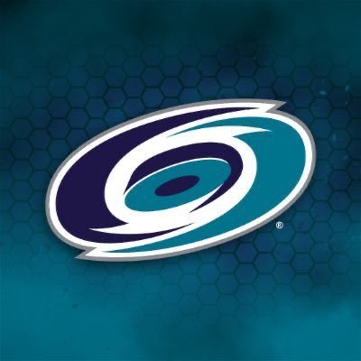 LisenbyTrish's profile picture. Carolina Hurricanes #LetsGoCanes 🖤❤️🖤🔥🏒🏒, 🐴🐴🐴