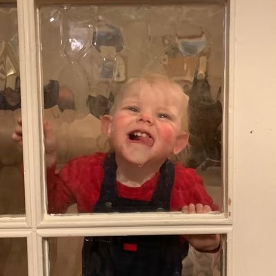 JamesNoakes1's profile picture. 