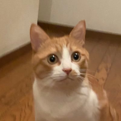 すなおさんのプロフィール画像