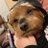 britt_sueann's profile image