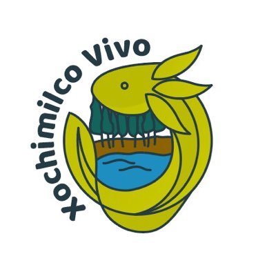 XochimilcoVivo Profile Picture