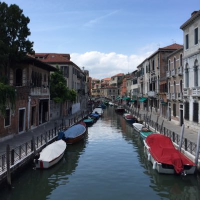 abdullah8000's profile picture. 