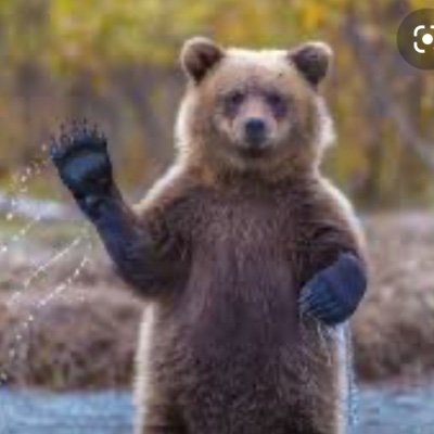 ComfyBearCave's profile picture. Husband, Dad, Son, Brother, Friend, Believer Always, Hope the best for America 🇺🇸 Hope the best for the world 🌎