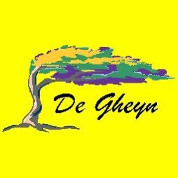 DeGheynT's profile picture. 