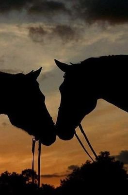 Erik56429500's profile picture. Coello zaqueroz ❤️🤠