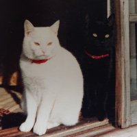 もっちゃん🍡 (@omochisan_xx) 's Twitter Profile Photo