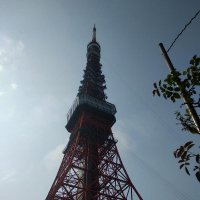 alfi laila tsw (@alfilailatsw) Twitter profile photo