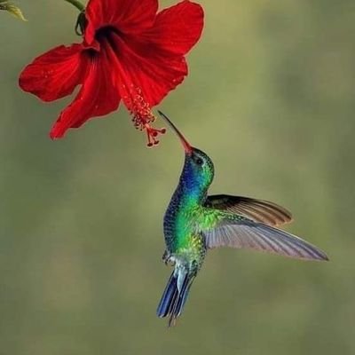 estercita31's profile picture. la vida es linda