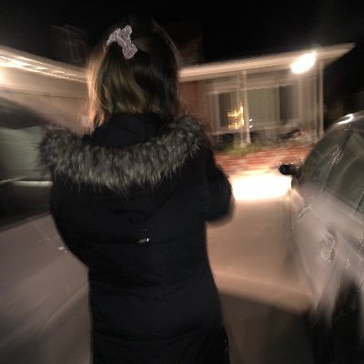 bowlcreat0r's profile picture. I attempt to explain to humans how dogs work