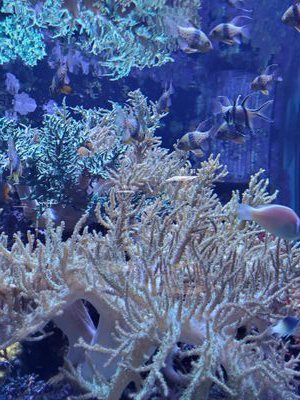 msbinary2's profile picture. 🌟完全無料‼️24時間配信🌟マーチン無し　　　　　　　　　　　【粗悪ツール】や【無料配信⇒有料化】などに　　　　　　　　　　　　　　　　　　騙されてませんか？そんな人達の救いの場😊　　　　　　#バイナリー無料配信　#マーチン無し　#24時間配信