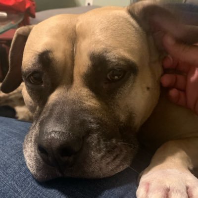 EthomOG's profile picture. 