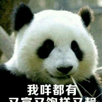 CHNMusty's profile picture. 