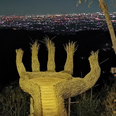 loxyzhou's profile picture. 