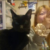 ゆかりん＆しじみ🐾 (@yukari8bucci) Twitter profile photo