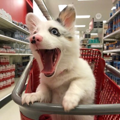 JzFYmALI1cRFh7r's profile picture. Live once