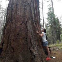 Laura Marqués (@l4ur4m4rqu3s) 's Twitter Profile Photo Laura Marqués (@l4ur4m4rqu3s) 's Twitter Profile Photo