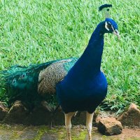 Themistocle Hakizimana (@themistocleh) 's Twitter Profile