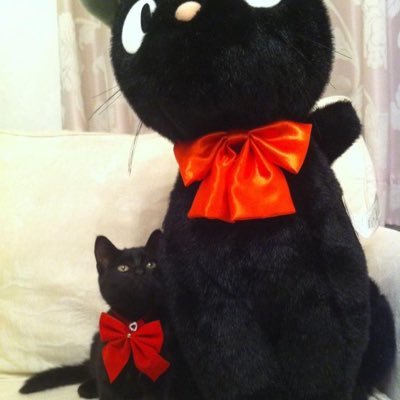 aXueNoPjo2uAZIv's profile picture. ⭐︎