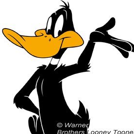 wammz's profile picture. weku Zimuto