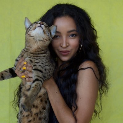 d_utiliser's profile picture. 