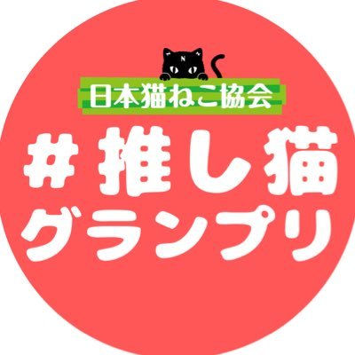 oshinekogp's profile picture. あなたが応援したい猫はどのこ？日本猫ねこ協会と一緒に、かわいい猫さんたちを応援して盛り上げよう！【楽しい発信が幸せな猫と人を増やします🐈🐾】