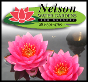 Nelsons Water Gardens carries water features and aquatic plants of every type imaginable alongside an enormous selection of pottery from all over the world.