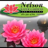 Nelson Water Gardens Nelsonwg Twitter