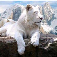 🌍 Maurizio🌍 (@mauriziobotta2) 's Twitter Profile