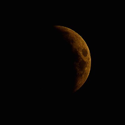 Ben gece gibiyim, kimi kapkara, /

Kimi yıdızlara yuva, kimi de aya./

Sevdamda hiç yer olmadı yalana./

Canım feda dedim O'nun yolunda...