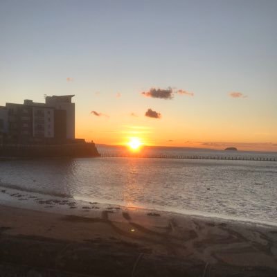 holden_pete's profile picture. 