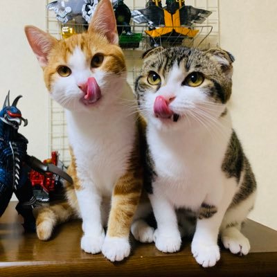 akipapa123さんのプロフィール画像