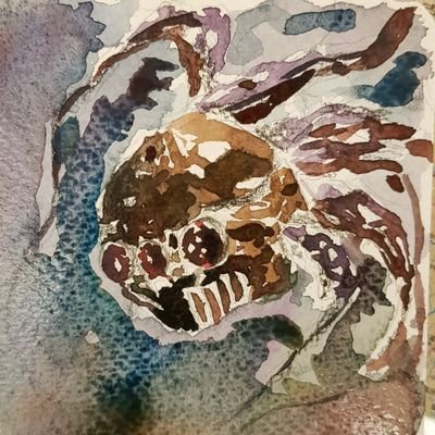 RayChen71519243's profile picture. I love Draw!!!