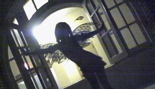 TheRealMissSeal's profile picture. 