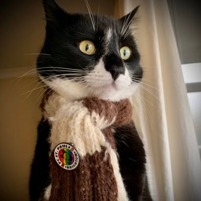 1st feline member and official mascot of @BrightonStPauli. Likes football, eating & napping. Hates racists, bagpipes and the hoover.