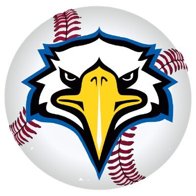 Blue Mountain High School varsity baseball is a member of Schuylkill League Div. 1 and District XI AAAA