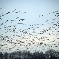 kpsszeDeli (@kpsszedeli) 's Twitter Profile Photo