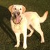 Iona's Adventures (@adventuresiona) Twitter profile photo Iona's Adventures (@adventuresiona) Twitter profile photo