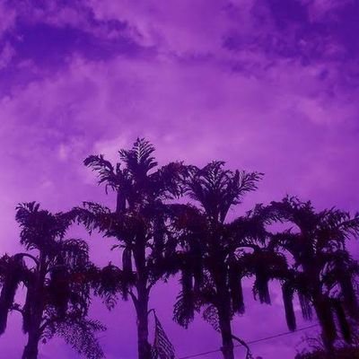 lopezanalyn018's profile picture. 💜