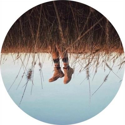 wwenee's profile picture. my stupid life✨
i love it💛