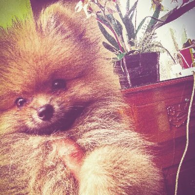 EmHigherDanYu's profile picture. "A"