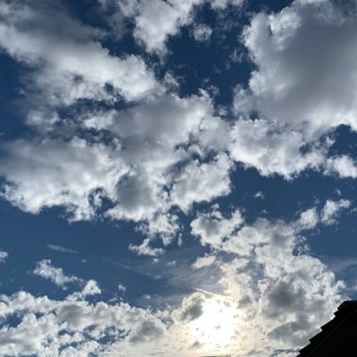 MPuree101's profile picture. 20 y/o, transformers fan go watch TFOne now!