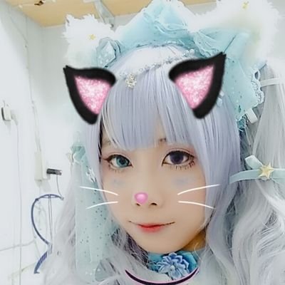 ☆雪猫☆ 雪ねこ❄🐈‍⬛ (@yukineko_0124) / Posts / X