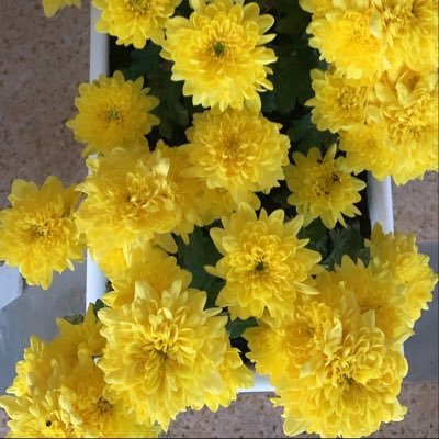 من يسخر منكــ فى كل شئ .. تأكد أنك تصفعه في كل لحظه وأنت لا تدري !!”