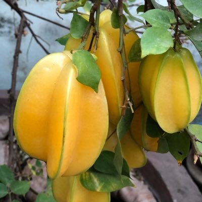 ttchangcodon's profile picture. Crazy